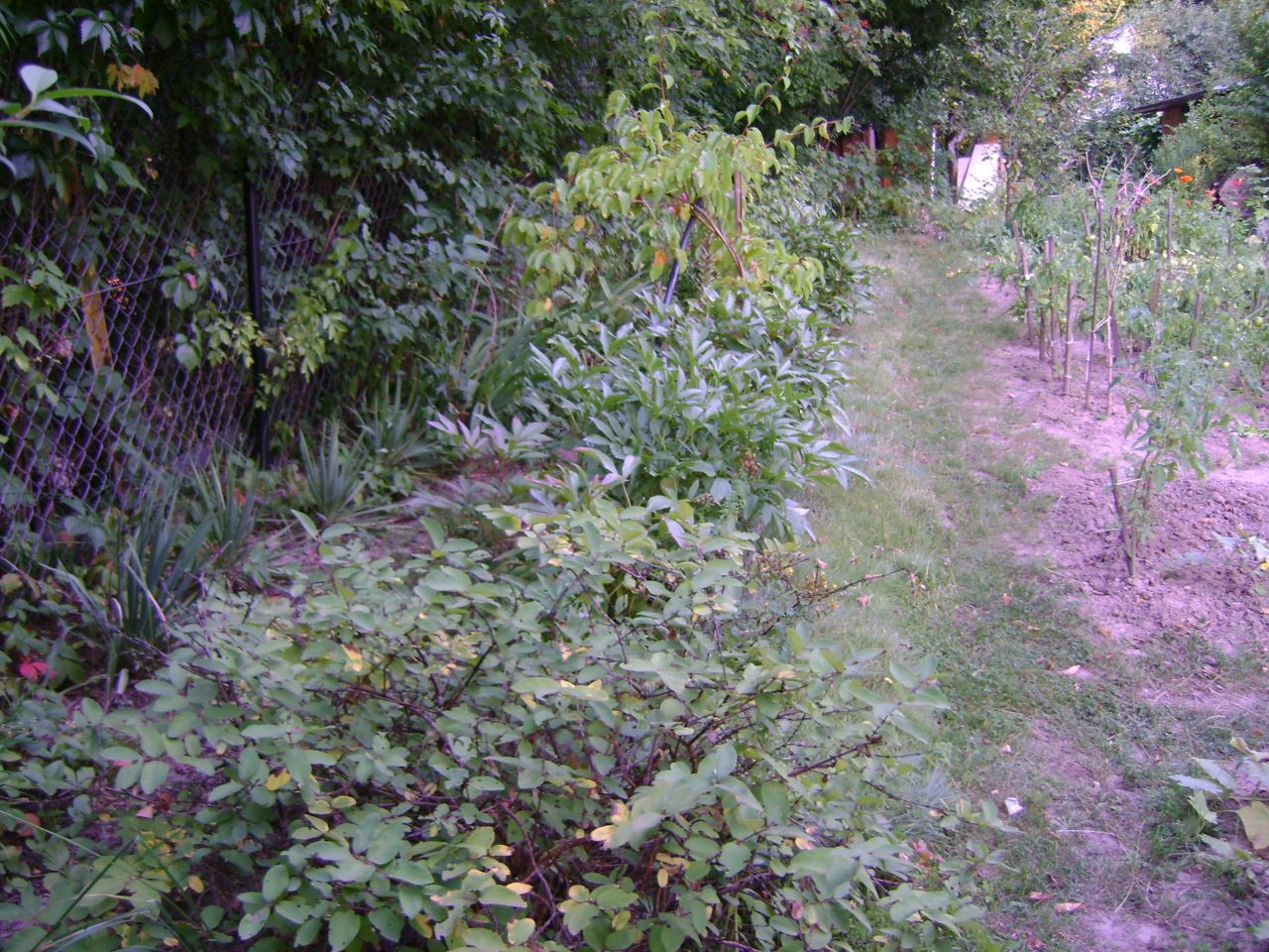 Działka rod Lublin Szerokie, ul. Nałęczowska. Zdjęcie 8