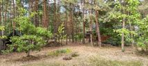 Działka leśna Tyborów. Zdjęcie 2