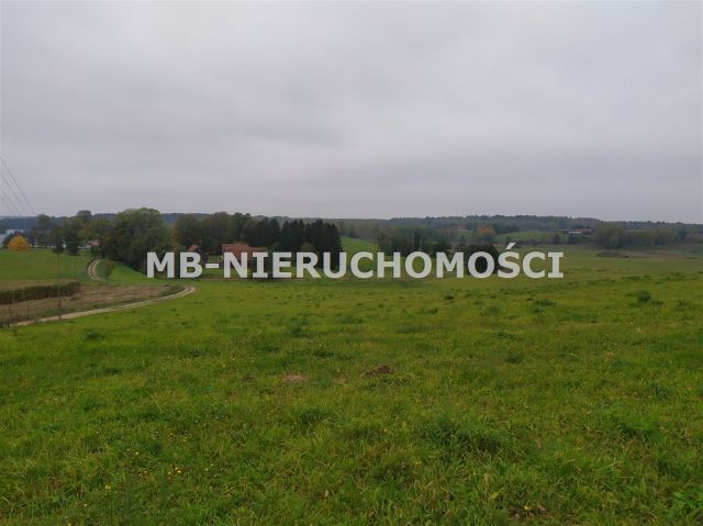 Działka rolna Sorkwity. Zdjęcie 4