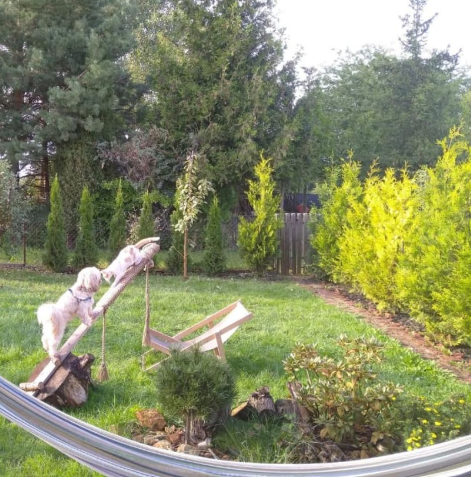 Działka rod Opole Zaodrze, Wspólna. Zdjęcie 5