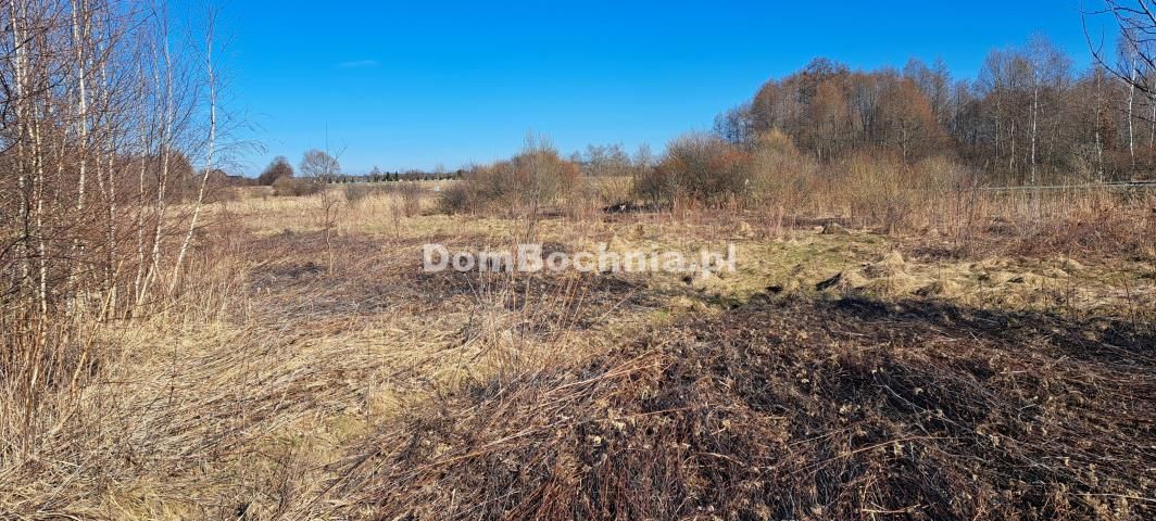 Działka inwestycyjna Borek. Zdjęcie 6