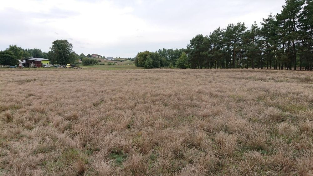 Działka rolno-budowlana Chwaszczyno, ul. Jałowcowa