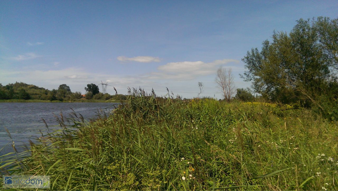 Działka rekreacyjna Kopanka Pierwsza. Zdjęcie 4