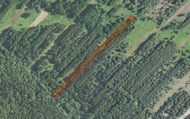 Działka rolna Wola Żarczycka. Zdjęcie 1