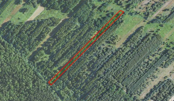 Działka rolna Wola Żarczycka