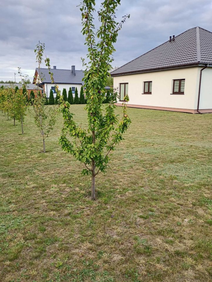 dom wolnostojący, 3 pokoje Piotrków Trybunalski, ul. Moryca. Zdjęcie 4