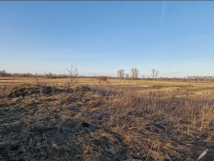 Działka budowlana Łomna, ul. Jana Kochanowskiego. Zdjęcie 2