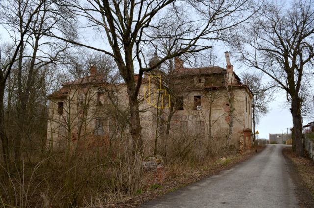 Działka inwestycyjna Wojciechów. Zdjęcie 4