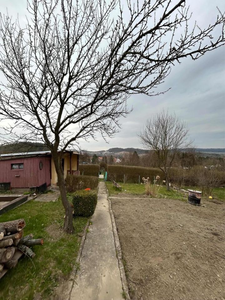 Działka rod Kamienna Góra. Zdjęcie 1