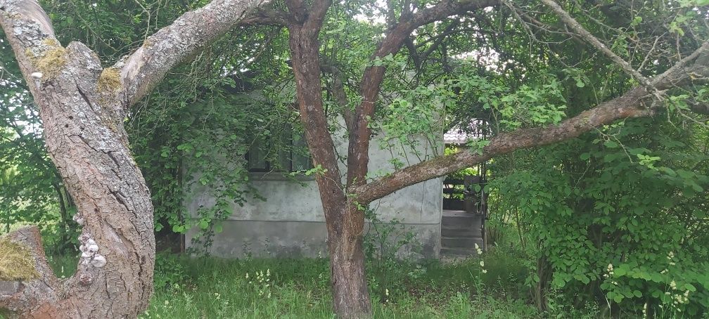 Działka rod Skierniewice. Zdjęcie 3