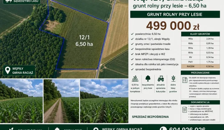 Działka rolna Wępiły
