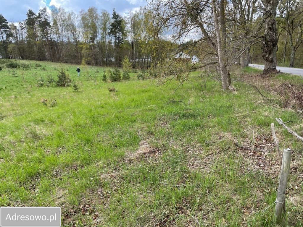 Działka budowlana Kleszczewo. Zdjęcie 5