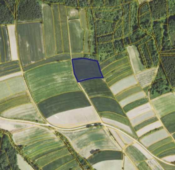 Działka rolna Niedźwiada. Zdjęcie 7