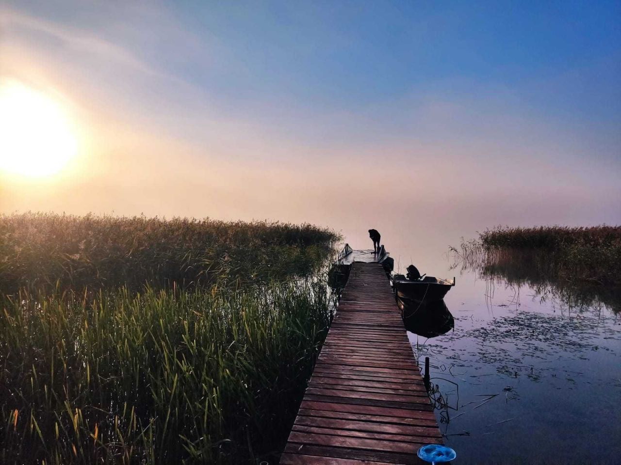 Działka rolna Odoje. Zdjęcie 4