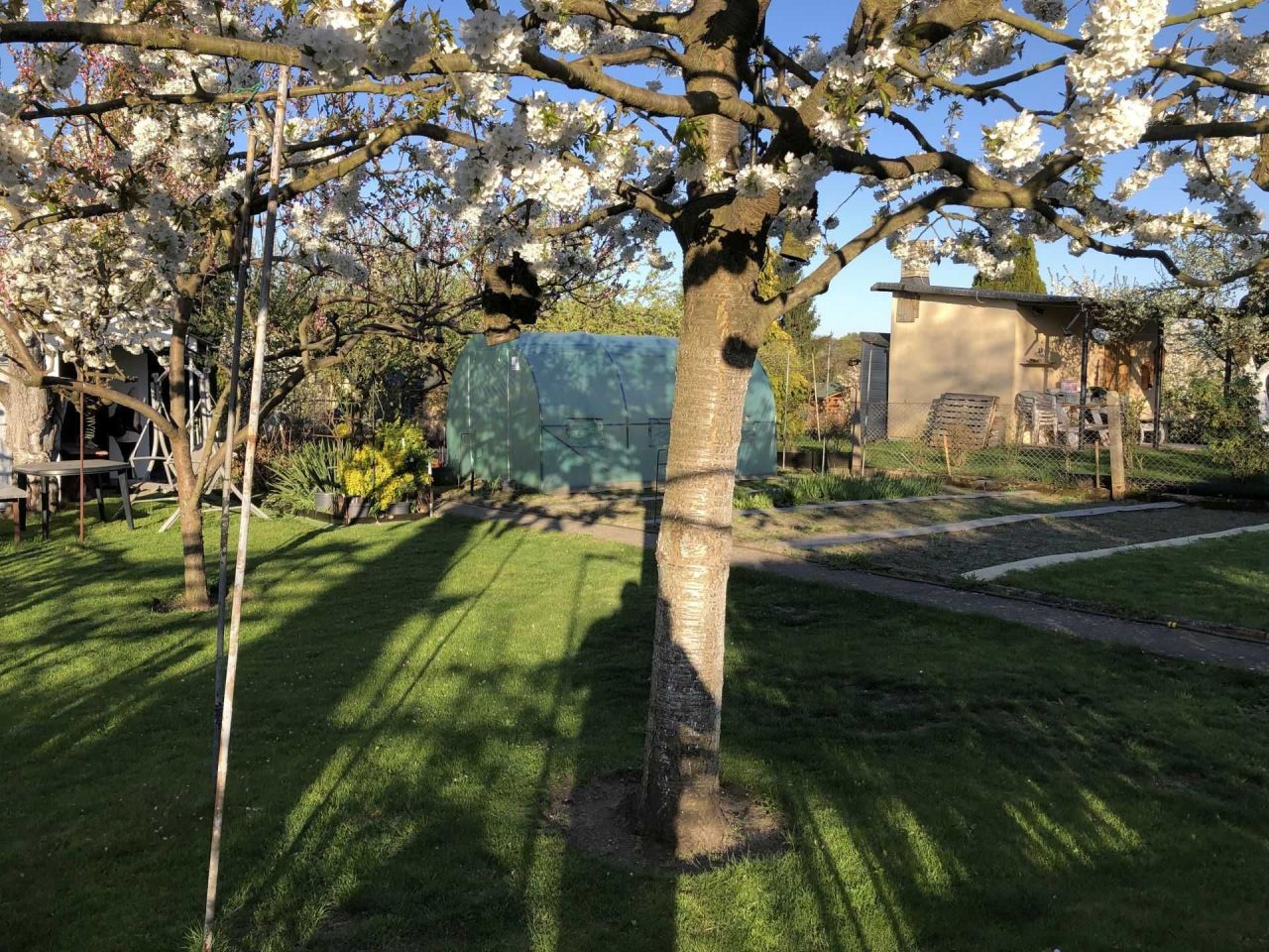 Działka rod Szczecin Bukowe, ul. Bogumińska. Zdjęcie 6