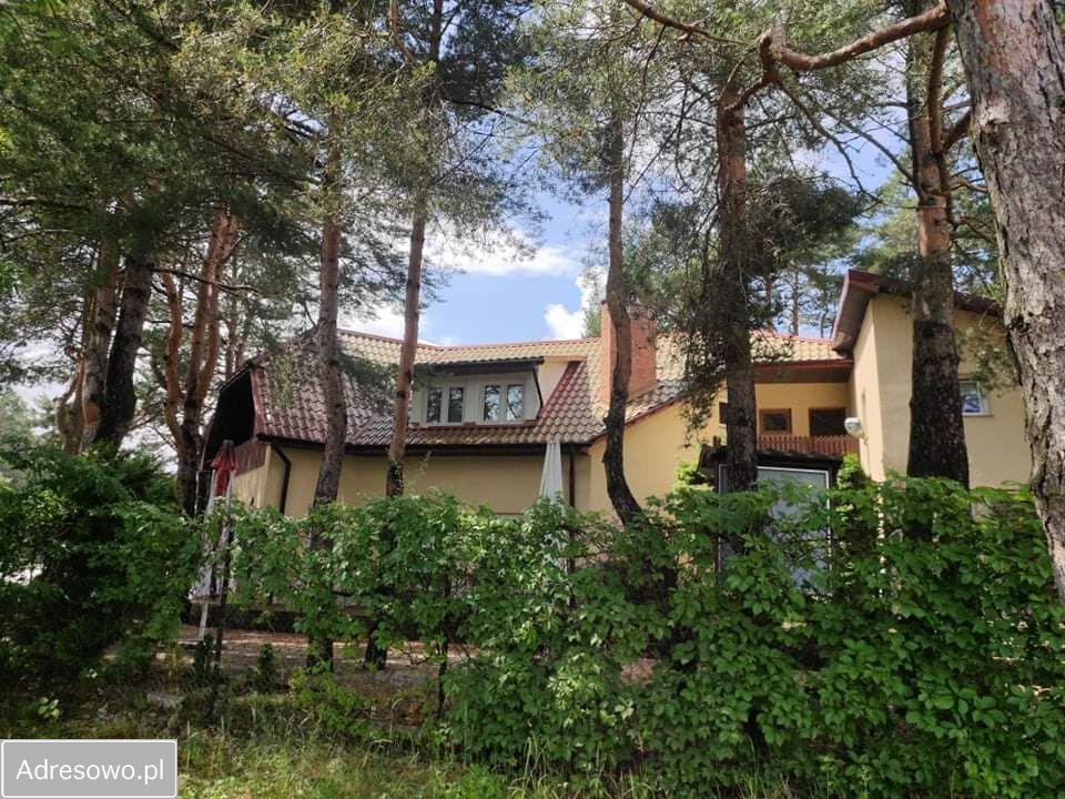 Lokal Majdan Sopocki Drugi. Zdjęcie 2