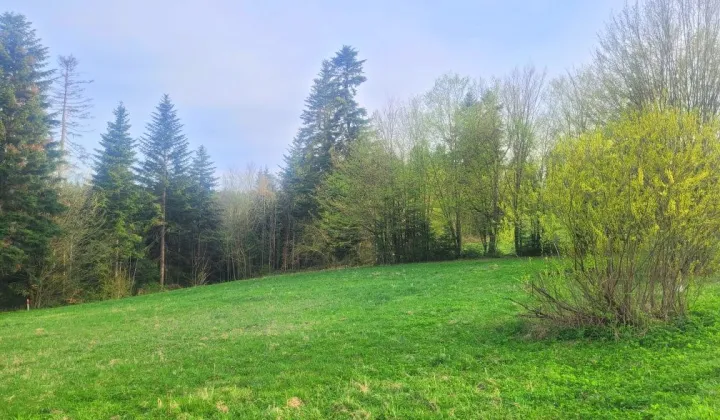 Działka rolna Werlas