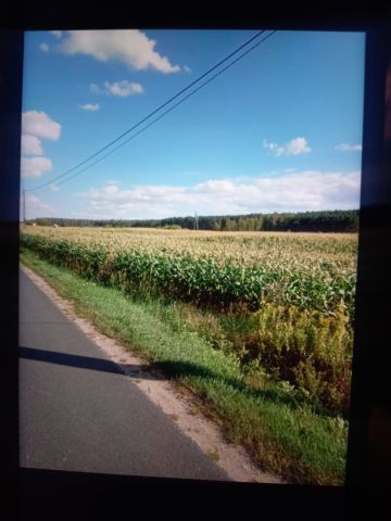 Działka inwestycyjna Obrowo, ul. Leszczynowa. Zdjęcie 1