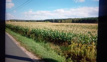 Działka inwestycyjna Kolonia Obrowska, Leszczynowa