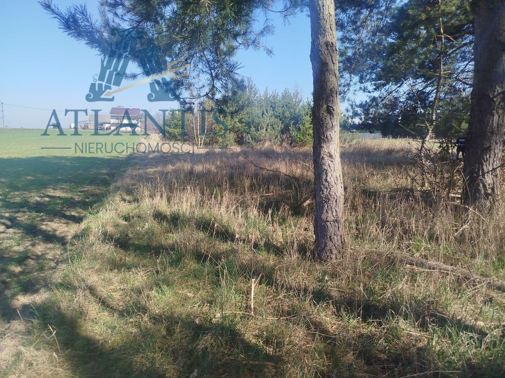 Działka Mięcierzyn. Zdjęcie 8