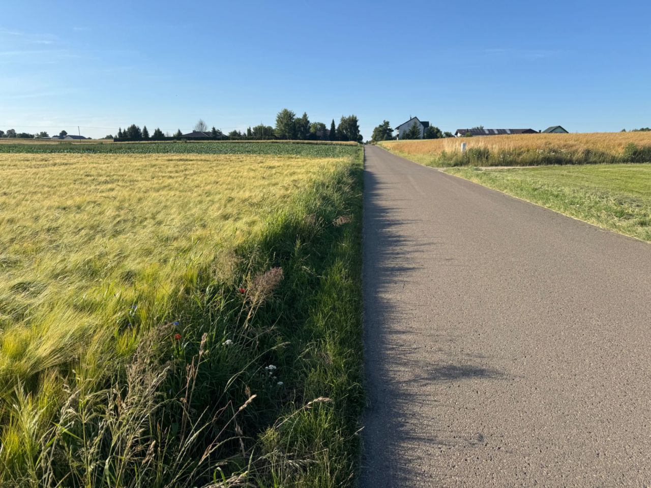 Działka budowlana Jastków. Zdjęcie 2