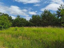 Działka budowlana Kościerzyna-Wybudowanie. Zdjęcie 3