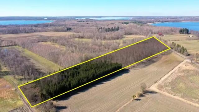 Działka leśna Harsz. Zdjęcie 5