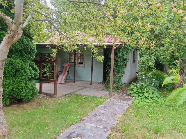 Działka rod Trzcianka. Zdjęcie 1