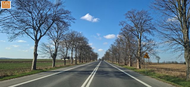 Działka budowlana Prandocin. Zdjęcie 2