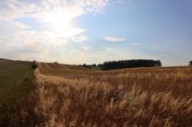 Działka budowlana Jakubowice Konińskie-Kolonia, ul. Zemborska. Zdjęcie 1