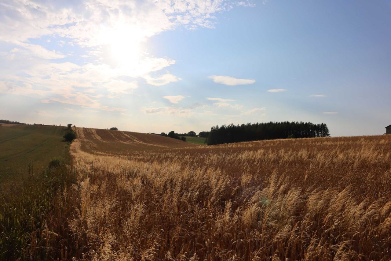 Działka budowlana Jakubowice Konińskie-Kolonia, ul. Zemborska. Zdjęcie 2