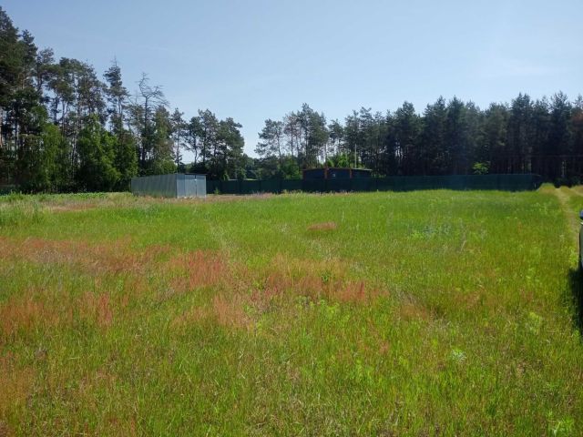 Działka Borki. Zdjęcie 1