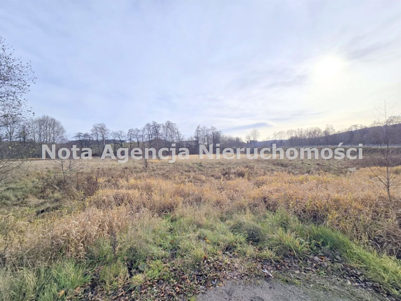 Działka inwestycyjna Jabłów. Zdjęcie 2