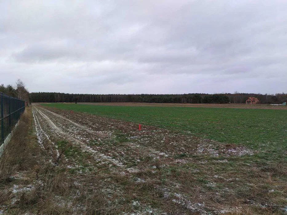 Działka budowlana Gołąbek, ul. Leśna. Zdjęcie 6