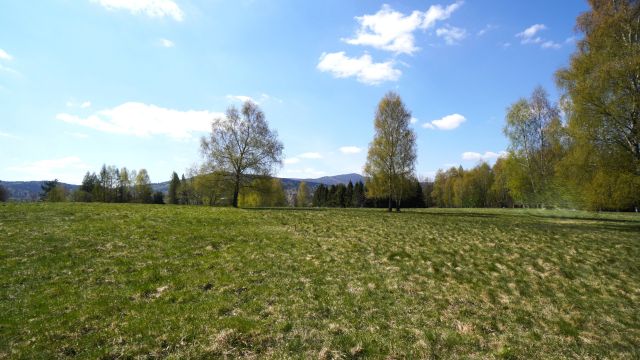 Działka inwestycyjna Wysowa-Zdrój. Zdjęcie 4