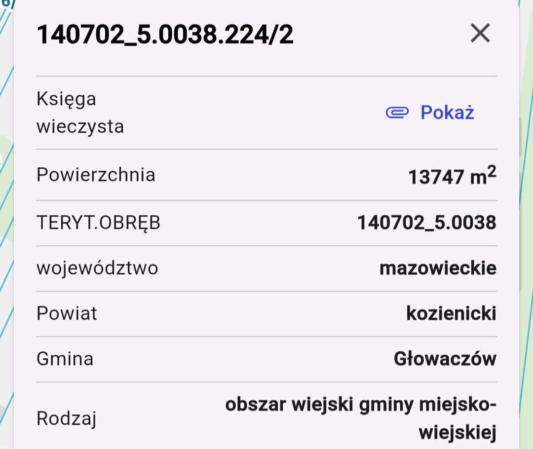 Działka leśna Wólka Brzózka. Zdjęcie 4