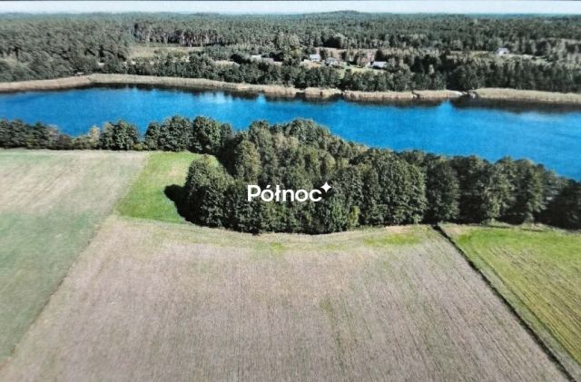 Działka rolna Krzewent. Zdjęcie 5