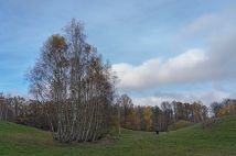 Działka rolna Sarnikierz. Zdjęcie 2