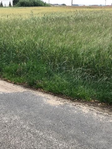 Działka budowlana Zadowice. Zdjęcie 1