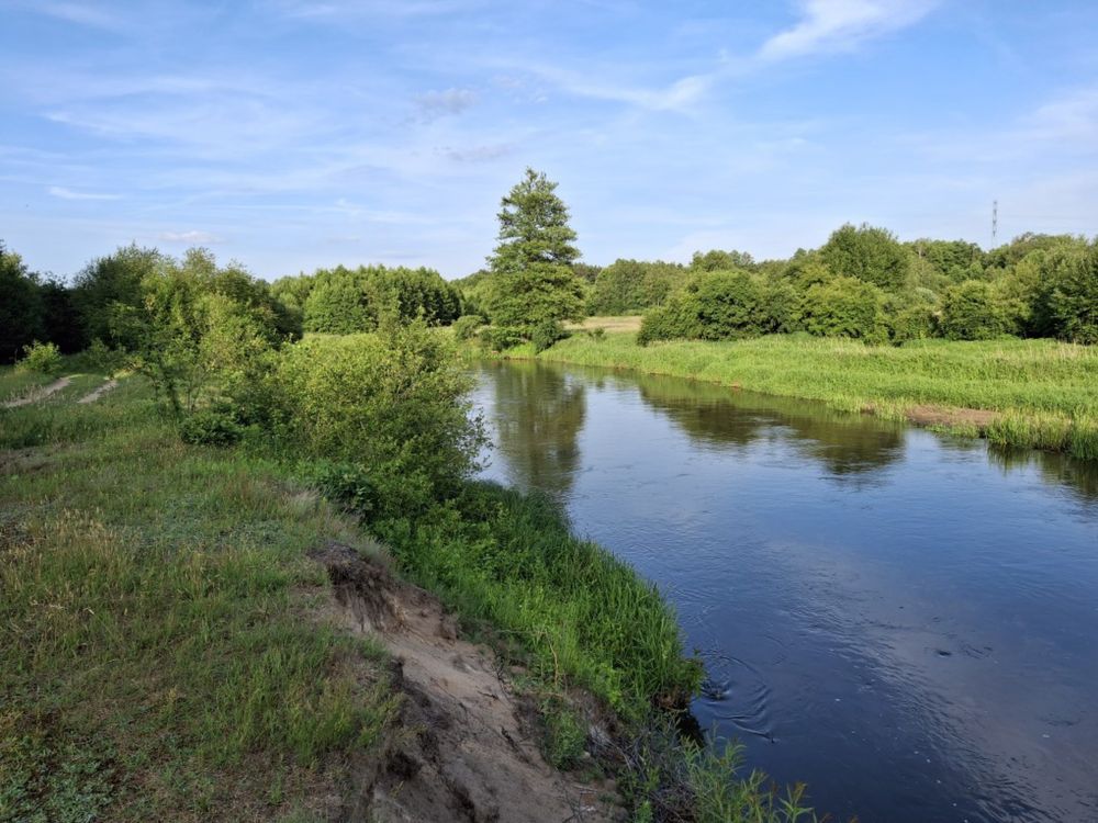 Działka siedliskowa Dęba. Zdjęcie 3