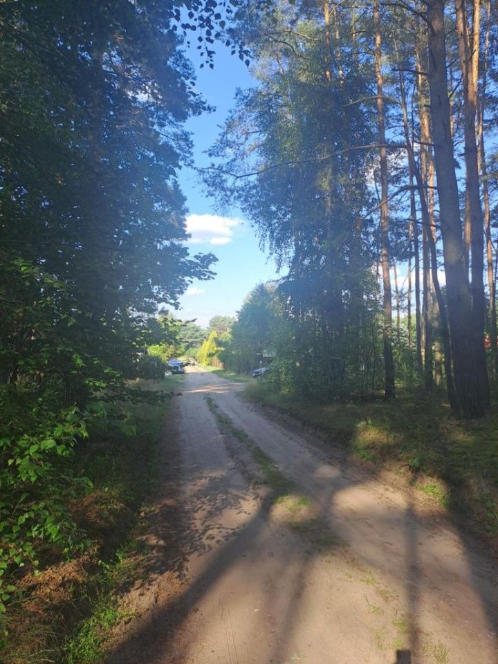 Działka rekreacyjna Chojne. Zdjęcie 6