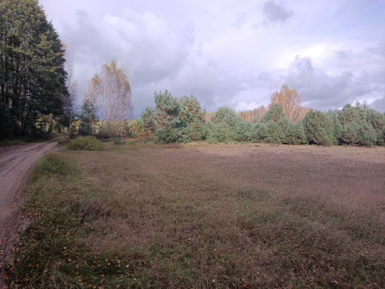 Działka rolna Osie. Zdjęcie 8