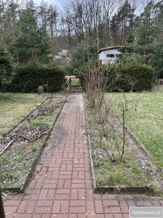 Działka rod Poznań Ławica. Zdjęcie 10