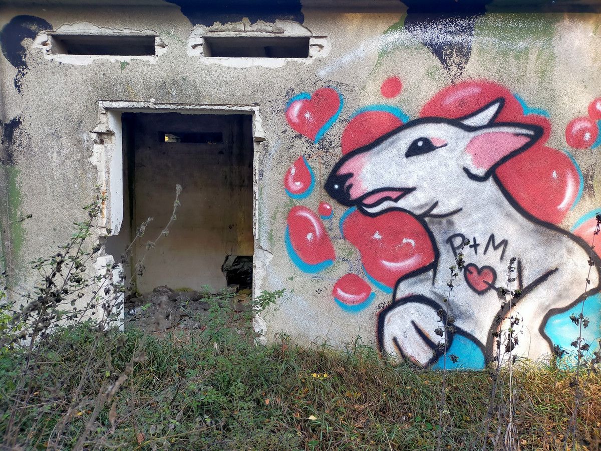 Działka rolna Chwiram. Zdjęcie 31