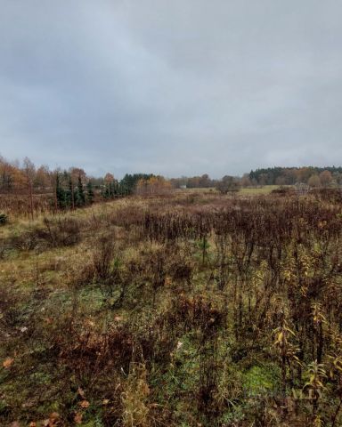 Działka rolno-budowlana Stanisławów. Zdjęcie 4