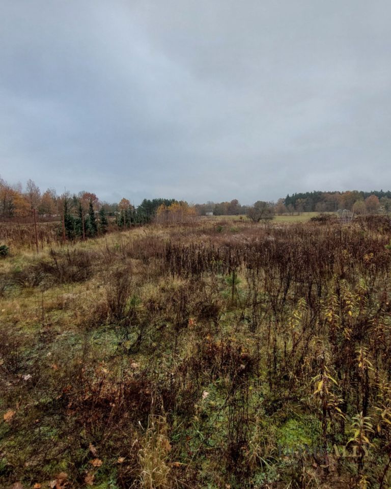 Działka siedliskowa Stanisławów. Zdjęcie 4