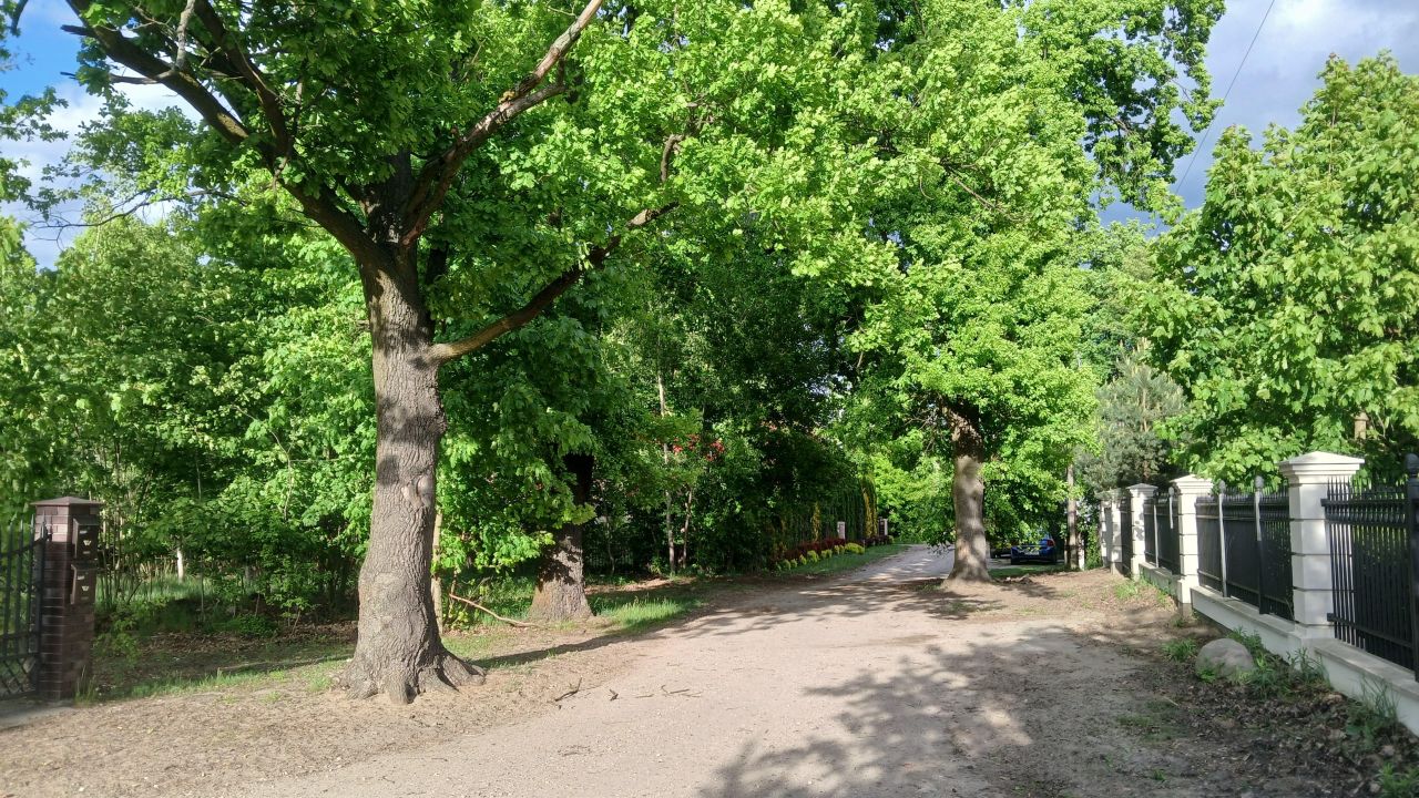 Działka budowlana Kobyłka Piotrówek, ul. Parkowa. Zdjęcie 8