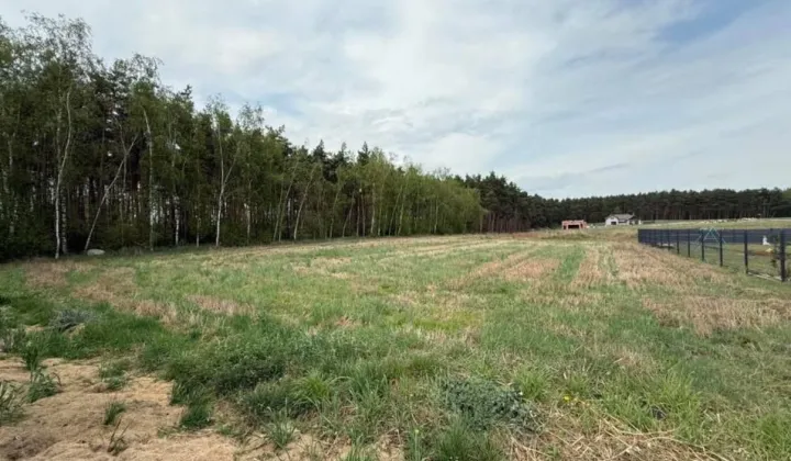 Działka budowlana Sapowice