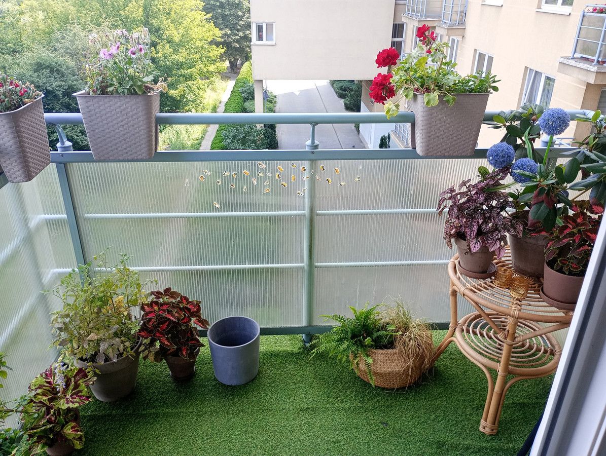 Mieszkanie 2-pokojowe Warszawa Ochota, ul. Zadumana. Zdjęcie 8