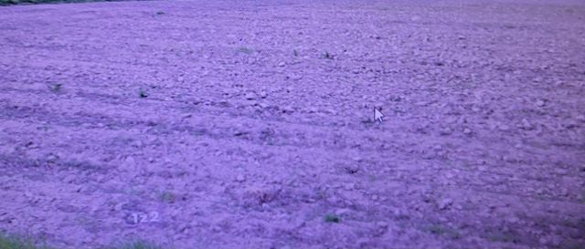 Działka rolna Podhorce. Zdjęcie 1